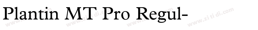 Plantin MT Pro Regul字体转换